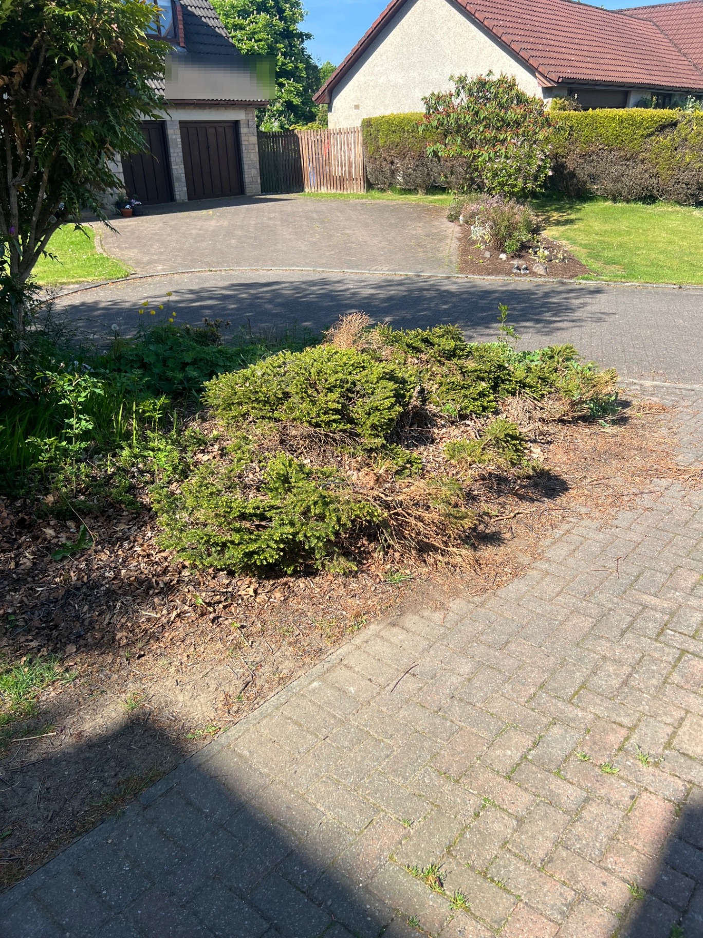 Tobermore Pedesta Bracken Driveway Transformation - Before installation